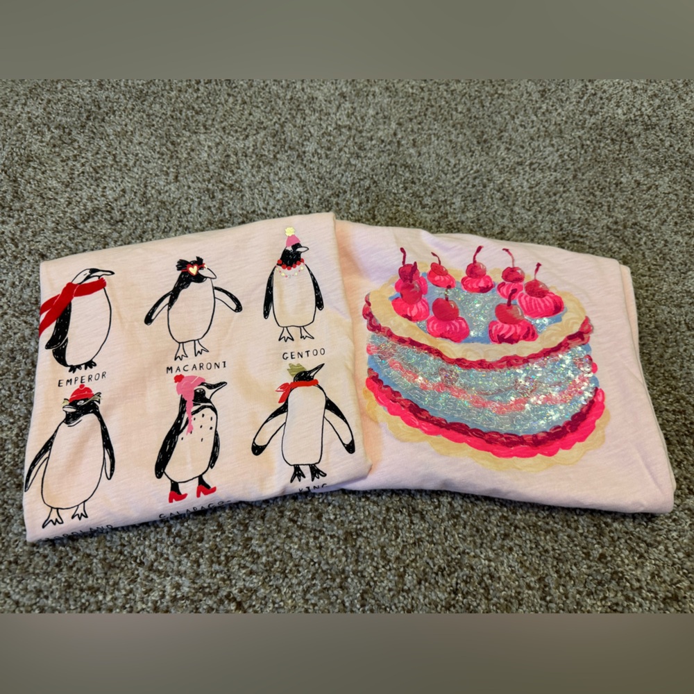 2 Crewcuts Long Sleeve T-Shirts with Cute Designs, Size XL(12-14) Big Girls